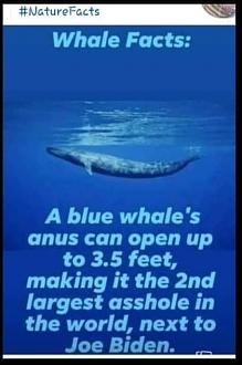 Click image for larger version

Name:	B4F8AFE2-C5B1-4208-B9D8-F9DE5F68DC92.jpeg
Views:	294
Size:	39.0 KB
ID:	21137