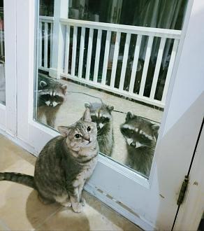 Click image for larger version

Name:	20220313_222624.jpg
Views:	197
Size:	76.0 KB
ID:	21213