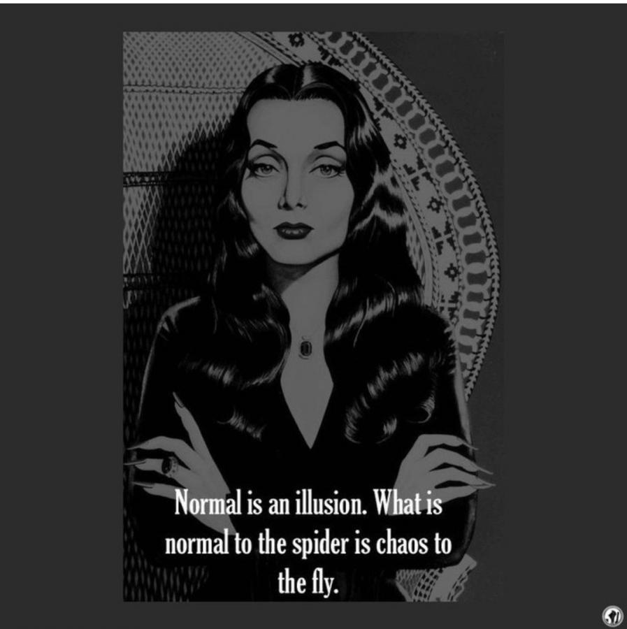 Click image for larger version

Name:	Screenshot_20220326-052841_Instagram.jpg
Views:	124
Size:	58.5 KB
ID:	21442