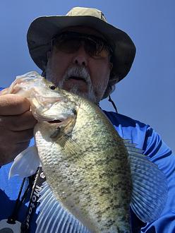 Click image for larger version

Name:	BD4D23E9-02C3-489C-9C43-CF5694C975D7.jpeg
Views:	211
Size:	78.6 KB
ID:	21593