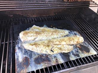 Click image for larger version

Name:	B828071E-15A5-4315-A876-6863211CD235.jpeg
Views:	198
Size:	180.4 KB
ID:	21595