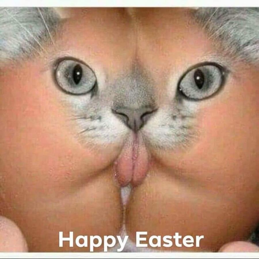 Click image for larger version

Name:	9588.jpeg
Views:	30
Size:	72.1 KB
ID:	21866