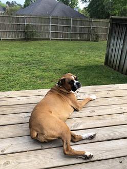 Click image for larger version

Name:	5C864BB1-C549-4BC0-952D-6139A833AF39.jpeg
Views:	274
Size:	109.3 KB
ID:	21874