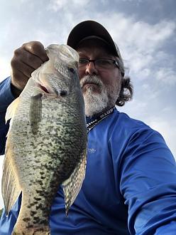 Click image for larger version

Name:	E2FABC93-A515-4EEE-B818-E3B1E83CDC96.jpeg
Views:	195
Size:	79.0 KB
ID:	21881