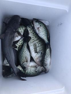 Click image for larger version

Name:	FAD7146A-7854-416E-99FF-1B08EC2FE7ED.jpeg
Views:	197
Size:	57.7 KB
ID:	21882