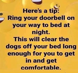 Click image for larger version

Name:	D47A67BF-4E81-44B0-A74F-BEDA878FE26B.jpeg
Views:	265
Size:	76.1 KB
ID:	21911