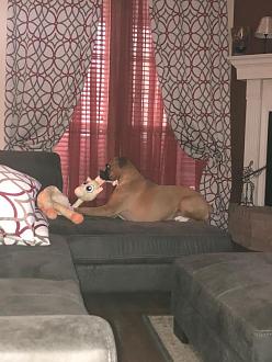 Click image for larger version

Name:	ED3C428E-4C69-42D4-A8ED-E76C139AA69C.jpeg
Views:	249
Size:	84.8 KB
ID:	21925