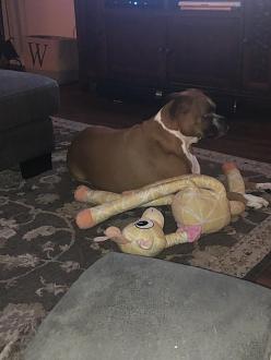 Click image for larger version

Name:	B0B6EC47-032F-4EEC-AFBD-53696D2CE6D7.jpeg
Views:	287
Size:	53.6 KB
ID:	21926