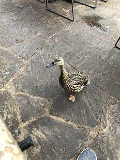 Click image for larger version

Name:	4F827E8F-877D-4146-91C1-6343707D38F3.jpeg
Views:	186
Size:	115.1 KB
ID:	21972