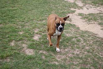 Click image for larger version

Name:	BAFF7A33-8430-4505-B048-B492724A63A5.jpeg
Views:	262
Size:	291.8 KB
ID:	22034