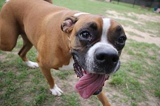 Click image for larger version

Name:	16F13B0A-545B-4D77-9771-BA5B124061EE.jpeg
Views:	239
Size:	109.5 KB
ID:	22035