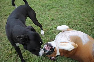 Click image for larger version

Name:	9262C7CB-7560-4F65-8EE3-EAA05DD2383A.jpeg
Views:	251
Size:	184.5 KB
ID:	22036