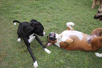 Click image for larger version

Name:	8C0D0163-30E6-421C-9517-3F9D0688ACE0.jpeg
Views:	248
Size:	277.7 KB
ID:	22037