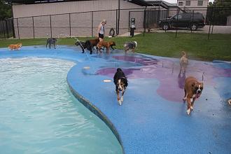 Click image for larger version

Name:	82DE0E43-5BAC-4D23-BD5E-8BAFA77AB39D.jpeg
Views:	267
Size:	165.1 KB
ID:	22039