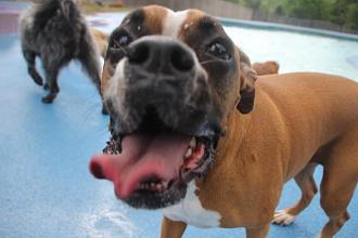 Click image for larger version

Name:	E3B260AA-4AFE-465E-B7FF-DCCC0424D769.jpeg
Views:	242
Size:	82.8 KB
ID:	22041