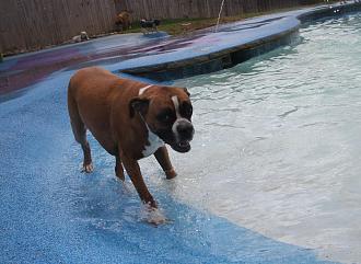 Click image for larger version

Name:	CF347146-8879-4A2F-9AA9-BFA110315FDA.jpeg
Views:	249
Size:	194.3 KB
ID:	22040