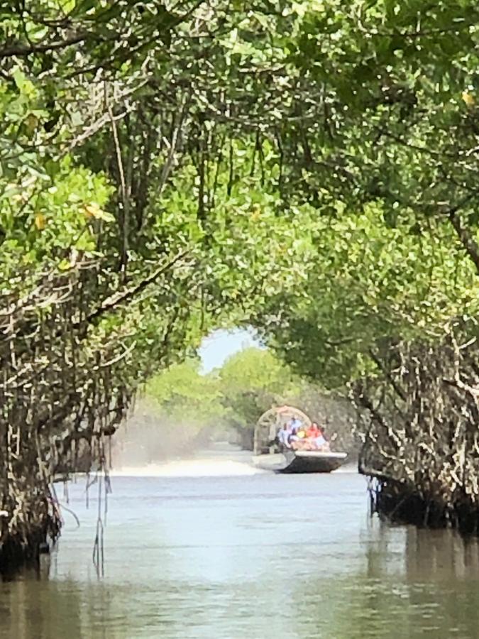 Click image for larger version

Name:	0C9C97C4-8E82-4127-8BF9-0D331C43C39B.jpeg
Views:	121
Size:	130.2 KB
ID:	22092