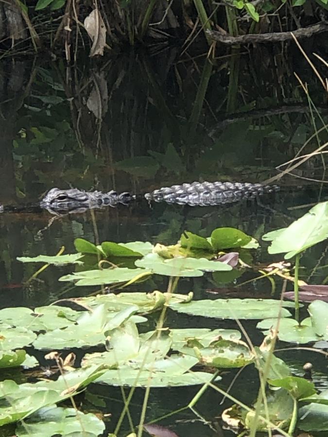 Click image for larger version

Name:	25C56621-B420-45B4-855F-BF5F48F2986E.jpeg
Views:	128
Size:	99.8 KB
ID:	22093