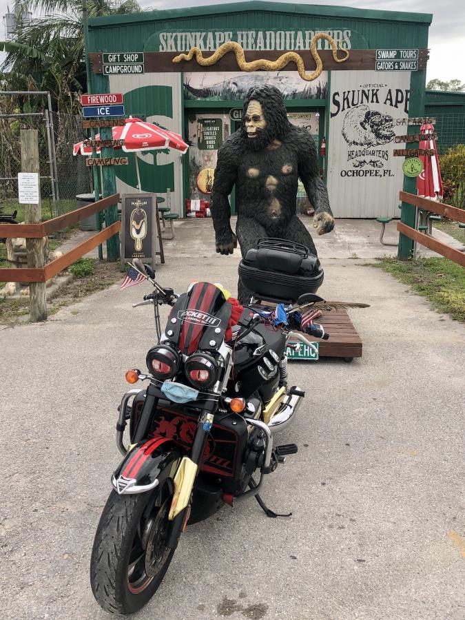 Click image for larger version

Name:	DDE3B78D-14D5-4355-BEA9-EE36DAAAB3DA.jpeg
Views:	130
Size:	152.1 KB
ID:	22099