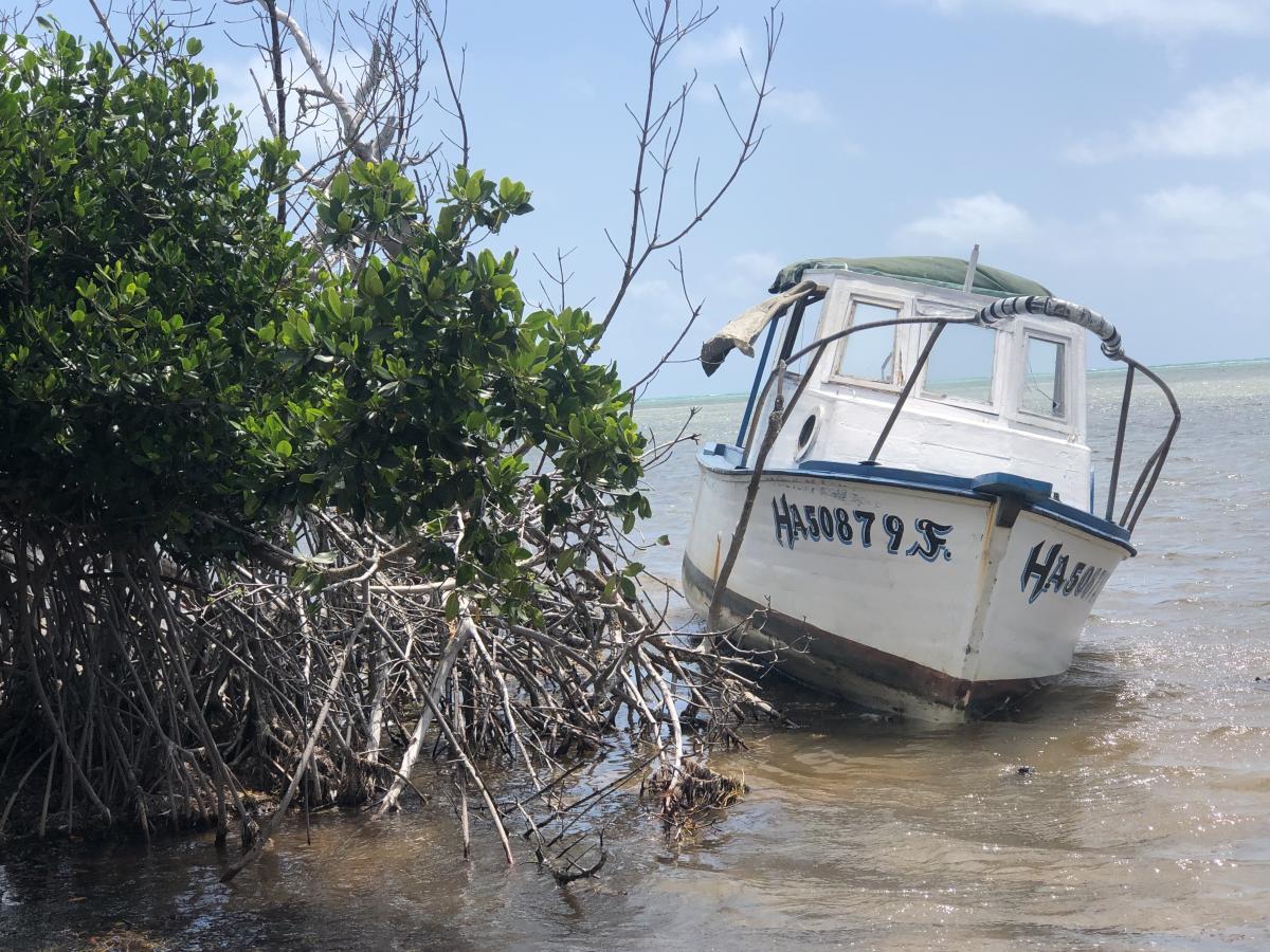 Click image for larger version

Name:	EA209461-00AB-49D2-A944-C29B852A0698.jpeg
Views:	124
Size:	218.0 KB
ID:	22106