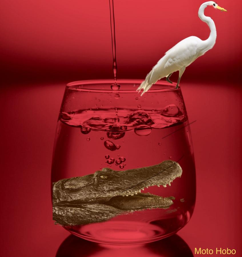 Click image for larger version  Name:	0776BBD4-2854-4D33-B2AD-BB3408655A92.jpeg Views:	0 Size:	59.3 KB ID:	22121