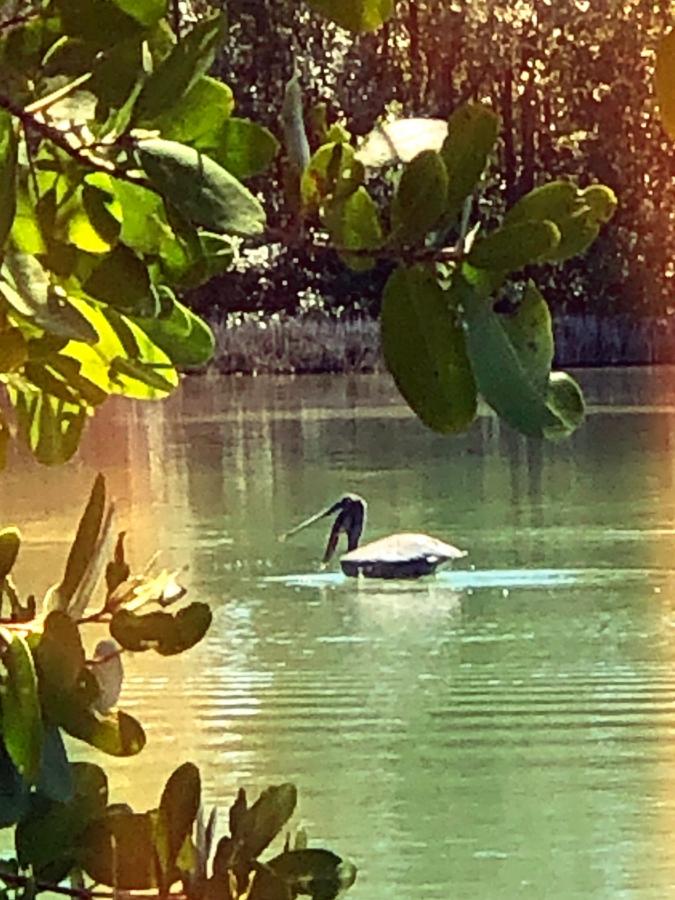 Click image for larger version

Name:	BE97EEC6-A7B0-4C50-8F85-2626FA4AEC7D.jpeg
Views:	127
Size:	101.4 KB
ID:	22109