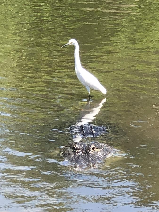 Click image for larger version

Name:	9219AA7D-4F87-4D61-B8ED-959CF8BF0BD2.jpeg
Views:	121
Size:	112.2 KB
ID:	22112