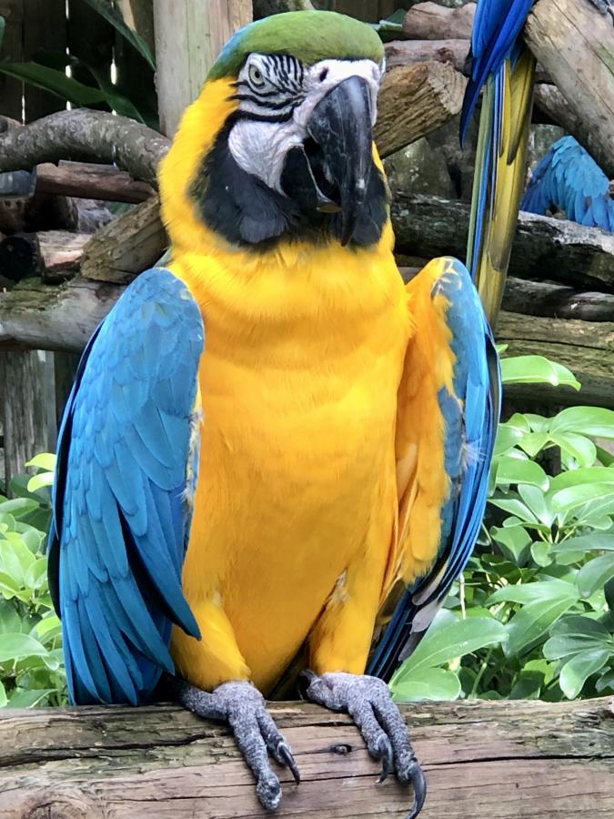 Click image for larger version

Name:	BD9B1959-CE88-4973-8E6F-01B11DD74DA5.jpeg
Views:	117
Size:	112.9 KB
ID:	22141