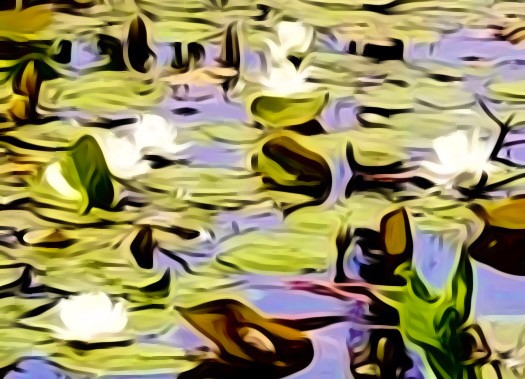 Click image for larger version

Name:	6F819B3A-7FF2-45B8-9AA7-1EF3A9D766E0.jpeg
Views:	142
Size:	72.4 KB
ID:	22153