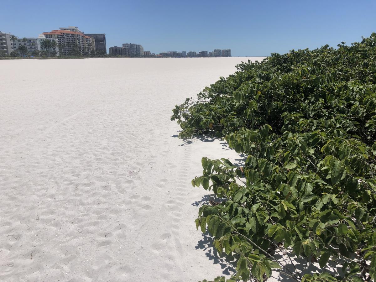 Click image for larger version

Name:	795EB77F-87C1-4FF9-8C76-7843AAA4679B.jpeg
Views:	116
Size:	191.2 KB
ID:	22145