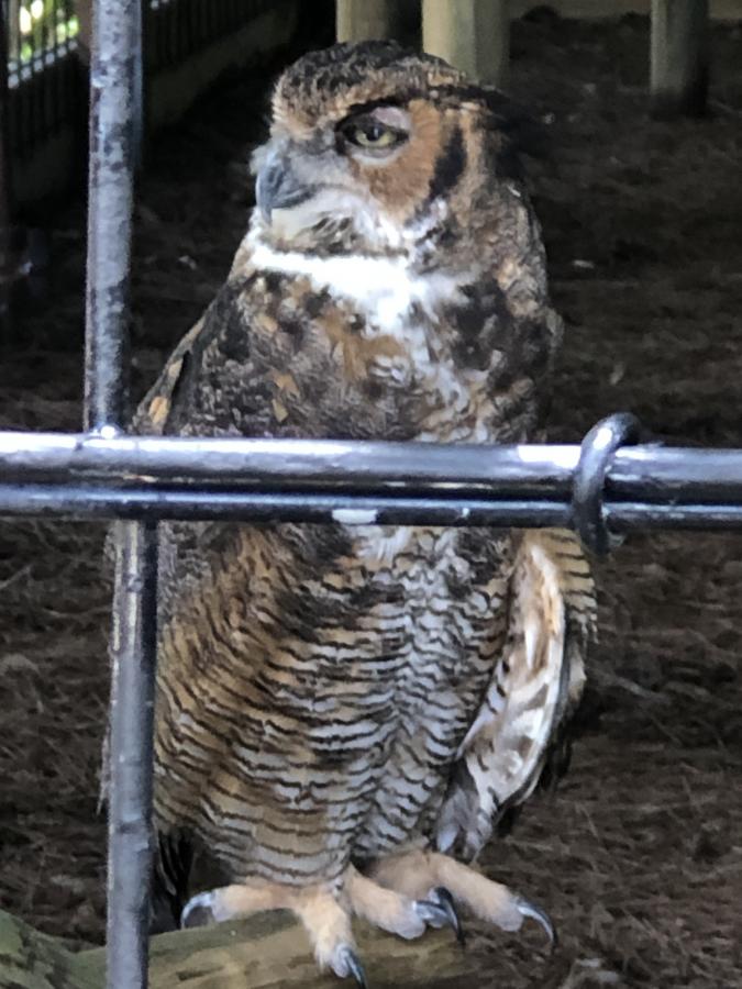 Click image for larger version

Name:	B24C20A7-2143-4B0F-9096-729C5A1C00AB.jpeg
Views:	108
Size:	86.0 KB
ID:	22148