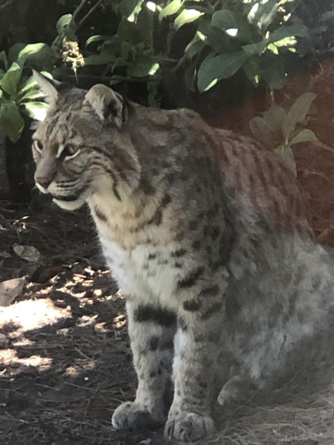 Click image for larger version

Name:	7FA7D367-E364-435B-8626-7280059887DC.jpeg
Views:	109
Size:	77.0 KB
ID:	22149