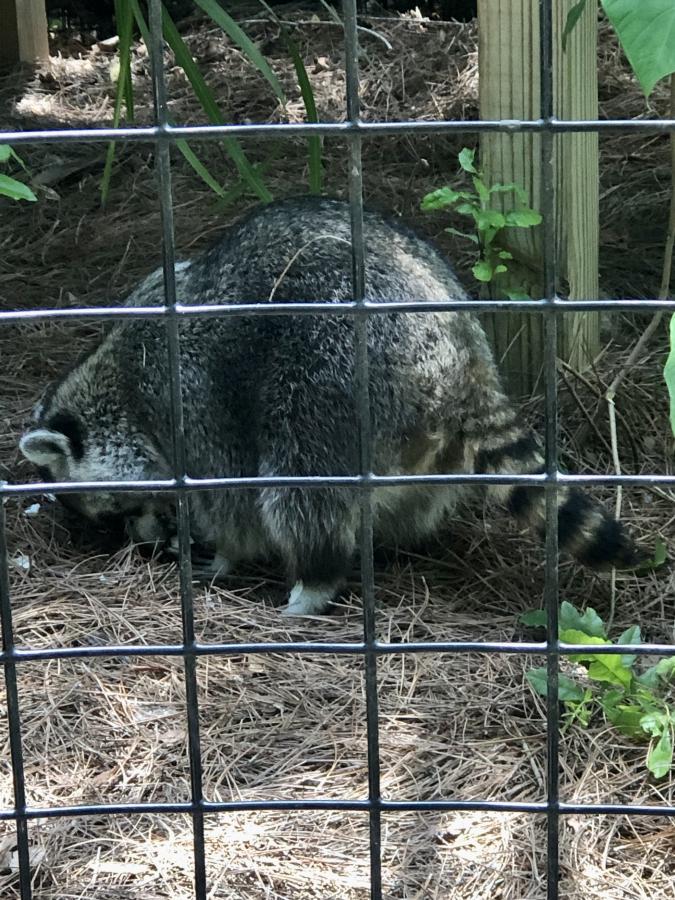 Click image for larger version

Name:	8D9F988D-64DF-459C-AB78-832FF3ADCB0F.jpeg
Views:	113
Size:	151.9 KB
ID:	22150