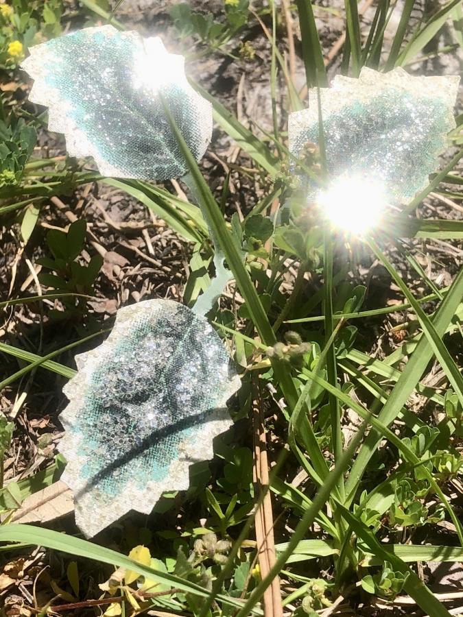 Click image for larger version

Name:	2BDCEFEA-9C96-401E-B7D7-1378A9A3F62E.jpeg
Views:	150
Size:	154.1 KB
ID:	22154