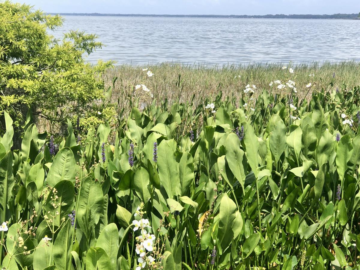 Click image for larger version

Name:	21C25B2F-7D38-406A-8CD4-161EABDB9049.jpeg
Views:	155
Size:	288.8 KB
ID:	22157