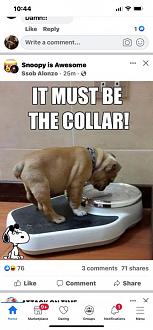 Click image for larger version

Name:	FDDAED83-558F-484B-9A20-8634314A8AF2.jpeg
Views:	231
Size:	52.2 KB
ID:	22205