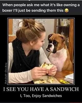 Click image for larger version

Name:	467DBCFA-EA12-4D30-AFA6-7698A92743D3.jpeg
Views:	257
Size:	75.4 KB
ID:	22215