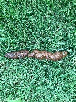 Click image for larger version  Name:	41FF82B7-4DF4-49CE-9F24-22B7F5594570.jpeg Views:	0 Size:	183.3 KB ID:	22217