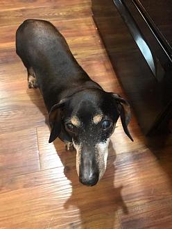 Click image for larger version  Name:	E324A454-052D-4E94-8079-28079F5B0C5F.jpeg Views:	0 Size:	70.0 KB ID:	22218