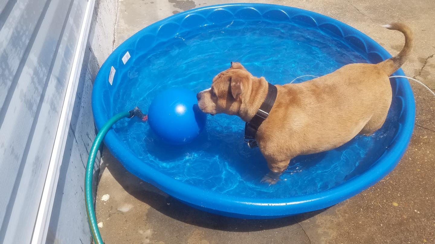 Click image for larger version  Name:	20220502_132808.jpg Views:	7 Size:	167.8 KB ID:	22226