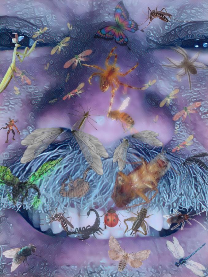 Click image for larger version

Name:	AA8A0A46-8D23-4698-9627-658424E08E8E.jpeg
Views:	147
Size:	100.6 KB
ID:	22243