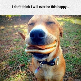 Click image for larger version

Name:	F0394D02-8FB9-4D17-B0E6-4AA0E9E5823F.png
Views:	247
Size:	520.7 KB
ID:	22300