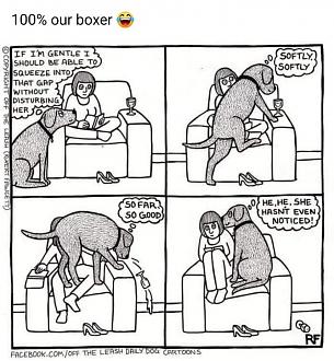 Click image for larger version

Name:	52A8FC32-D922-49E0-896B-F0C9FE649949.jpeg
Views:	232
Size:	111.2 KB
ID:	22302