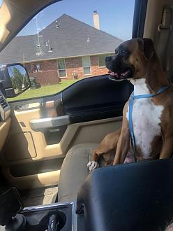 Click image for larger version

Name:	32E58C81-1215-41AE-98B6-92DC59EF434B.jpeg
Views:	310
Size:	63.9 KB
ID:	22566