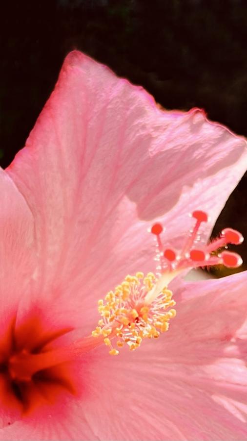 Click image for larger version

Name:	167A5F17-1830-452D-936A-C46110F7EB6A.jpeg
Views:	133
Size:	38.8 KB
ID:	22654