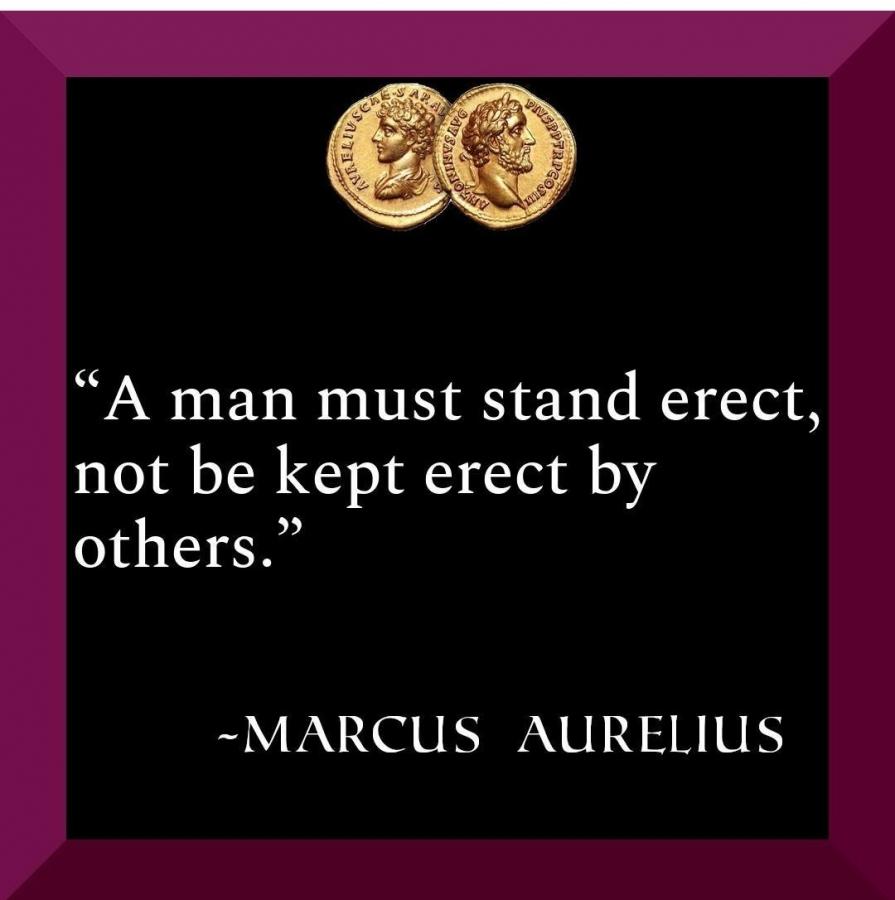 Click image for larger version

Name:	Screenshot_20220522-071859_Instagram.jpg
Views:	98
Size:	54.3 KB
ID:	22693