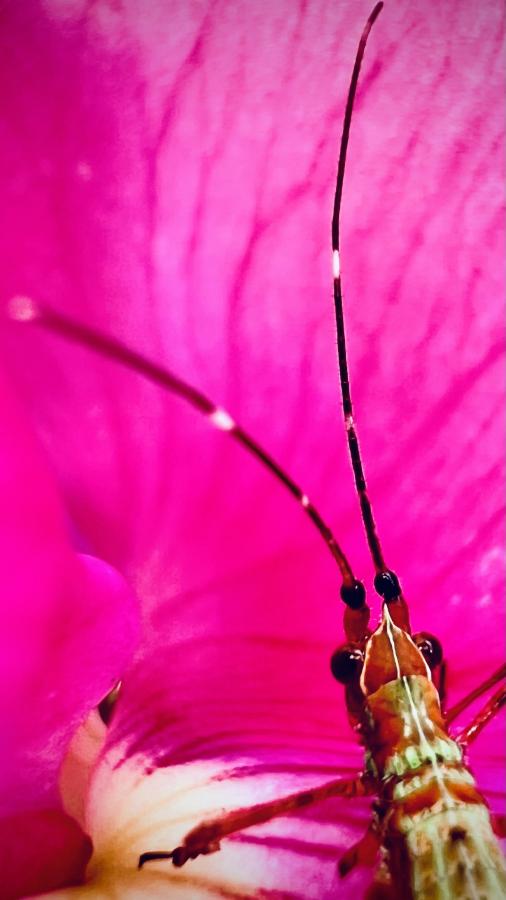 Click image for larger version

Name:	02E2F973-87E5-4C44-AB3A-3502529FD7D8.jpeg
Views:	105
Size:	43.4 KB
ID:	23135