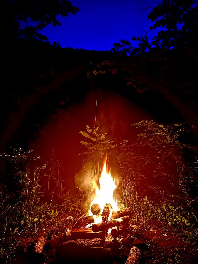 Click image for larger version

Name:	4EA805CE-257E-400C-A93E-60CD9E040D8B.jpeg
Views:	116
Size:	84.7 KB
ID:	23145