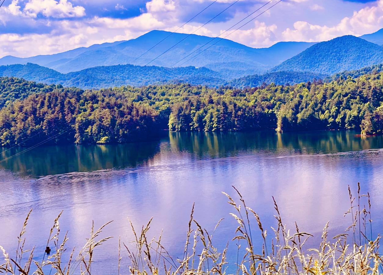 Click image for larger version

Name:	086B8DEF-33F9-41C5-B644-9246F65BE5A5.jpeg
Views:	111
Size:	224.0 KB
ID:	23148