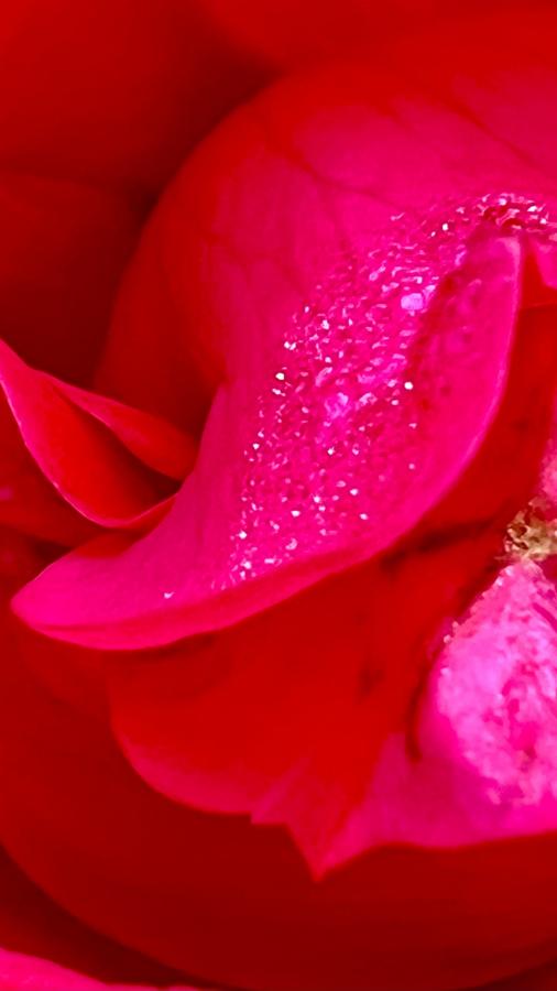 Click image for larger version

Name:	EF9F9C75-37A5-4285-977A-5AAF57086528.jpeg
Views:	106
Size:	31.6 KB
ID:	23155